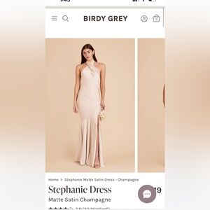 Birdy Grey Stephanie Matte Satin dress in champagne. Perfect condition!